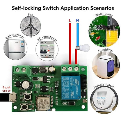 Jane Eyre WiFi Instant Relay Self Lock Switch Module with 433MHz RF Remote Control DIY Garage Door Switch Module Ewelink App Control Compatible with Alexa Goolution Assistant(1 Channel)