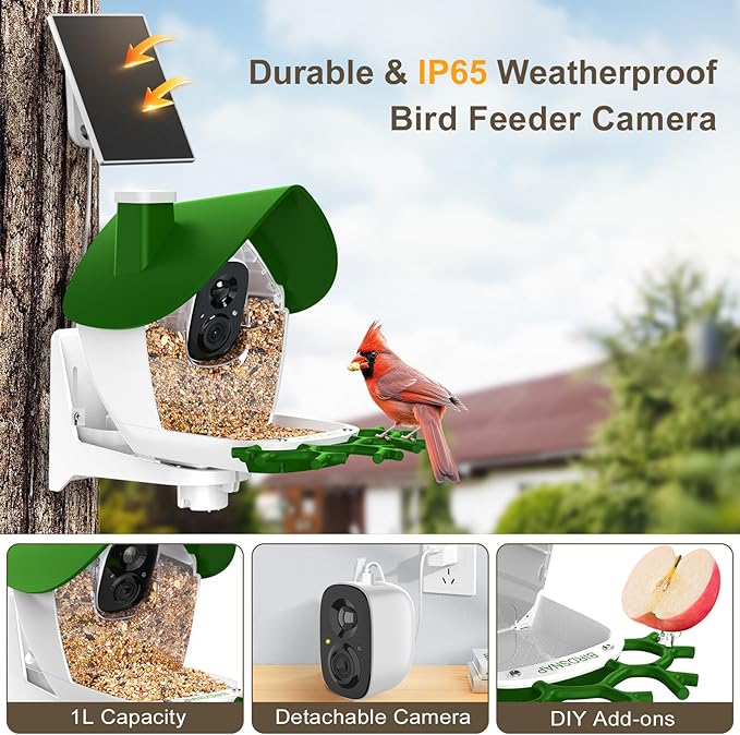 birdsnap® P33 - Smart Bird Feeder with Camera Solar Powered, 2K Video Bird Camera Feeder Live with 32GB Card, AI Identify Feather Species, Auto Record in Backyard, Ideal Gift for Birds Lover