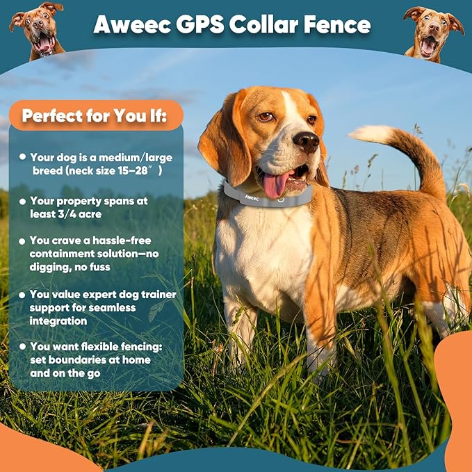 GPS Electric Dog Fence with Free App, Wireless Fence System with Training Collar, Portable Fence for Outdoor Use, Rechargeable Waterproof Flexiable Collar, Adjustable of Dogs (Gray)