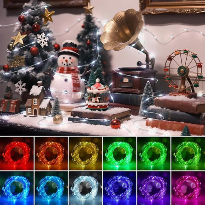 OMIKA 16.4ft 50 LEDs16 Color Battery Operated & USB Powered String Lights, with Remote Timer Waterproof Silver Wire Twinkle Lights for Room Garden Patio Indoor Outdoor Decor(132 Modes)