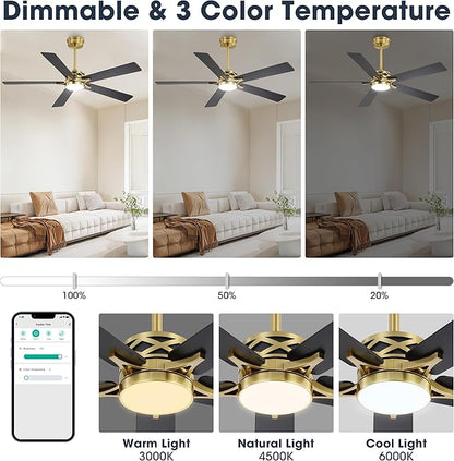 WINGBO 60" Smart Ceiling Fan with Lights and 3 Downrods, 5 Plywood Blades, 6 Speeds Reversible DC Motor, Works with Alexa and Google Assistant, 3CCT Dimmable LED Large Ceiling Fans, Brass and Black
