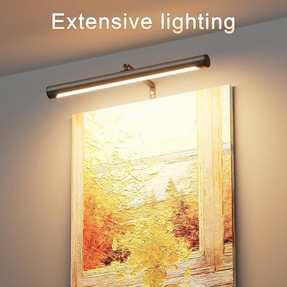 Picture Lights for Paintings Plug in, 16" Adjustable LED Picture Light Art Light with Timer, Remote Control Gallery Painting Wall Light for Picture Display Frame Dartboard Art Work (Black)