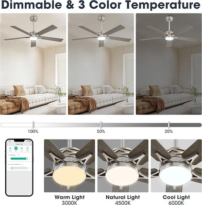WINGBO 60" Smart Ceiling Fan with Lights and 3 Downrods, 5 Plywood Blades, 6 Speeds Reversible DC Motor, Works with Alexa and Google Assistant, 3CCT Dimmable LED Large Ceiling Fans, Nickel and Grey
