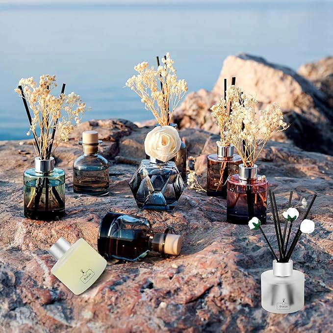 Brakula 2 Pack Reed Diffuser Set, Eucalyptus & Wild Mint Scented, Home Fragrance with 14 Sticks Bathroom Decor, Reed diffusers for Home 6.76 fl oz (Eucalyptus & Wild Mint)