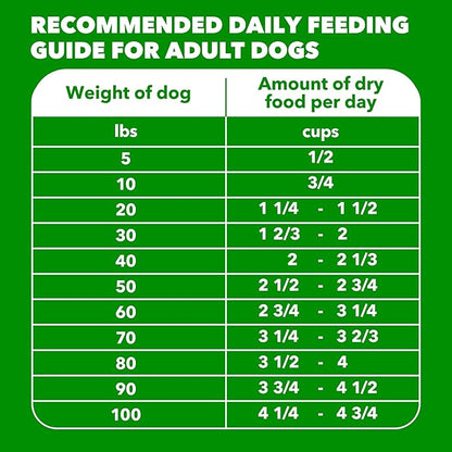 IAMS Proactive Health Adult Dry Dog Food Beef and Rice Recipe, 7 lb. Bag