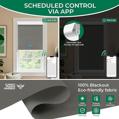 Allesin No Drill Motorized Roller Blinds – Rechargeable Electic Blackout Shades with Cassette Cover, Utral-Quiet Motor, Automatic Blind with Remote for Indoor Windows (Smoky Gray, 31" W x 72" H)