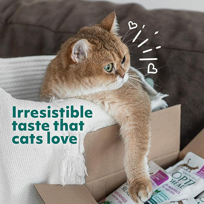 Optimeal Grain-Free Wet Cat Food Pouches – Chicken & Turkey in Savory Gravy, High Protein & Moisture-Rich Tender Morsels, Indoor Adult Cat Food Wet with Natural European Ingredients, 3 oz (Pack of 12)