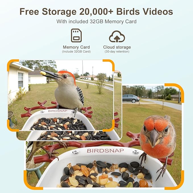 birdsnap® P33 - Smart Bird Feeder with Camera Solar Powered, 2K Video Bird Camera Feeder Live with 32GB Card, AI Identify Feather Species, Auto Record in Backyard, Ideal Gift for Birds Lover