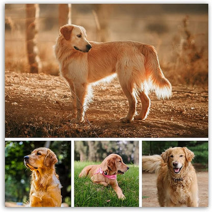 LZIMU Collage Canvas Prints with Your Photos Personalized Multi Pictures for Wall Custom Family Wedding Baby Pet Dog Photo to Canvas Customized Gifts Home Wall Decor (Collage Photo-9, No frame)