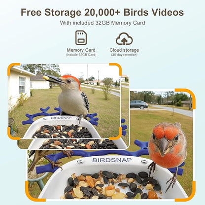birdsnap® P33 - Smart Bird Feeder with Camera Solar Powered, 2K Video Bird Camera Feeder Live with 32GB Card, AI Identify Feather Species, Auto Record in Backyard, Ideal Gift for Birds Lover