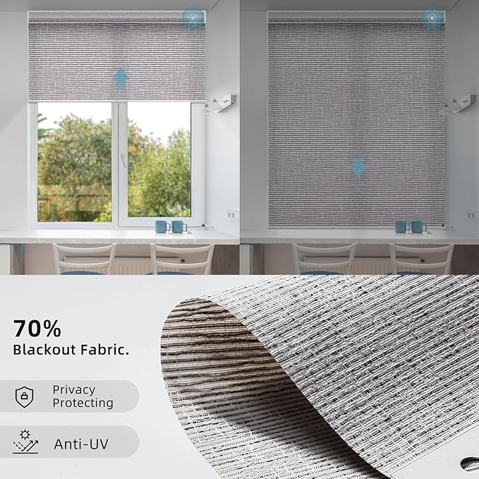 SmartWings Motorized Smart Roller Shades in Light Filtering, Electric Blinds with Remote for Windows Compatible with Alexa/Google Home/Homekit, Customized, Safari Translucent Rock Grey