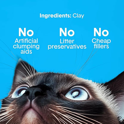Boxie Unscented 30 Day Odor Control Clumping Clay Cat & Kitty Litter 16 lb, 99.9% Dust-Free, Hard Flat Top Clumps, No Fragrances No Fillers, Long-Lasting, Easy to Scoop