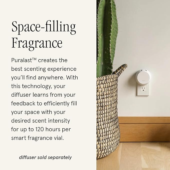 Pura & Paddywax Home Scent Refill - Smart Air Diffuser - Up to 120-Hours of Luxury Fragrance per Refill - Home Essential - Clean & Safe Diffuser Fragrance - 2 Pack, Wassail