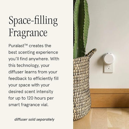 Pura & Tommy Bahama Home Scent Refill - Smart Home Air Diffuser - Up to 120-Hours of Luxury Fragrance per Refill - Spring & Summer Fragrance - 2 Pack, Coconut Oasis
