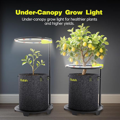 Saturn240 LED Grow Light, Commercial Full Spectrum 24W Under-Canopy Grow Light for Veg & Flower Stage, Adjustable Stand 12-22inch,3-in-1 Smart Controller Grow Lights for Grow Tents