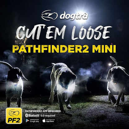 Dogtra Pathfinder 2 Mini - 4 Mile GPS Tracker Dog Hunting Training Collar with Remote, Rechargeable E-Fence Training Collar for Small Medium Large Sport Hunting Dogs, Electric Collar for Professionals