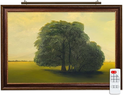 Situ Lighting: Plug-in Vision Series Remote Controlled LED Art and Picture Light - USA Made - 2700K