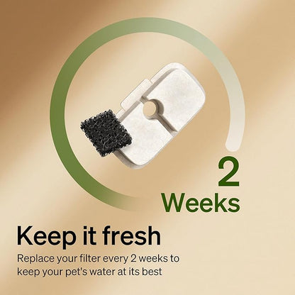 PETLIBRO Cat Water Fountain Filter, 4 Packs Cat Fountain Filter Replacement & Sponges for Dockstream WF106/WF116/WF105/WF115/WF005, 2-Month Set Easy-Swap for PETLIBRO Pet Fountain