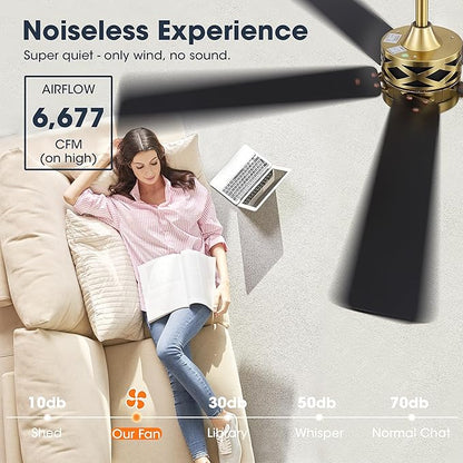 WINGBO 52" Smart Ceiling Fan with Lights, 5 Plywood Blades, 6 Speeds Reversible DC Motor, Works with Alexa and Google Assistant, 3CCT Dimmable LED Ceiling Fan for Bedroom Living Room, Brass and Black