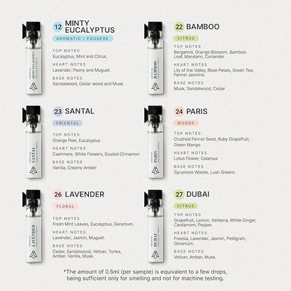 AromaPlan Hotel Scents Santal 5 Fl Oz (148ml) & Sample Set with Top 12 Fragrances -Home Luxury Aroma & Hotel Fragrance Diffuser Oil for Aromatherapy, USA Made